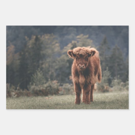 Herbstgrasfeld für Rinder Geschenkpapier Set (Vorderseite 2)