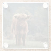 Herbstgrasfeld für Rinder Glasuntersetzer (Rückseite)