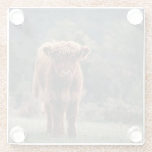 Herbstgrasfeld für Rinder Glasuntersetzer (Rückseite)