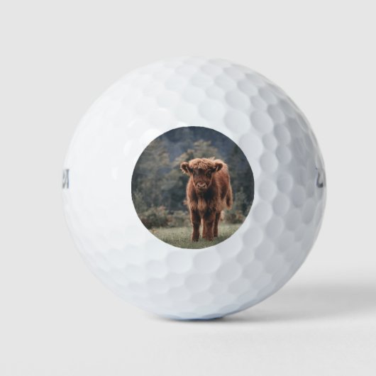 Herbstgrasfeld für Rinder Golfball (Vorderseite)