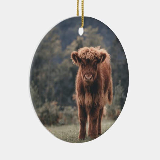 Herbstgrasfeld für Rinder Keramik Ornament (Rechts)