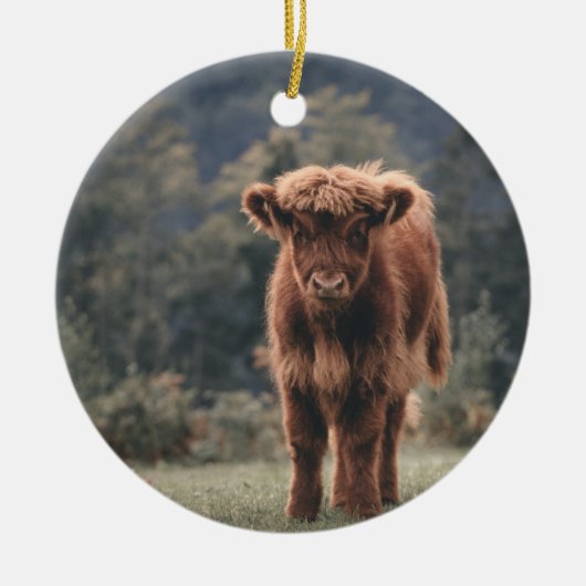 Herbstgrasfeld für Rinder Keramik Ornament (Vorne)