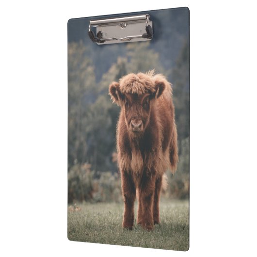 Herbstgrasfeld für Rinder Klemmbrett (Links)