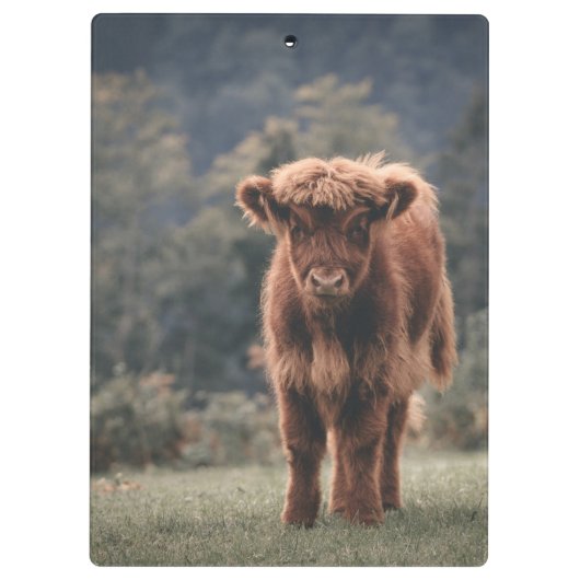 Herbstgrasfeld für Rinder Klemmbrett (Rückseite)