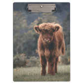 Herbstgrasfeld für Rinder Klemmbrett (Vorderseite)