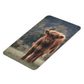 Herbstgrasfeld für Rinder Magnet (Linke Seite)