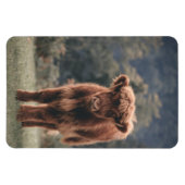 Herbstgrasfeld für Rinder Magnet (Horizontal)