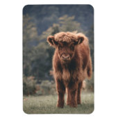 Herbstgrasfeld für Rinder Magnet (Vertikal)