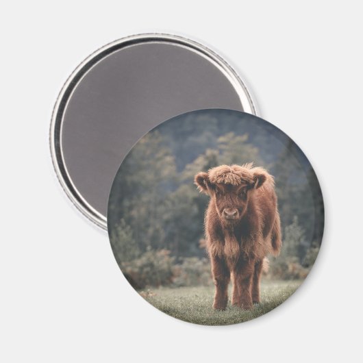 Herbstgrasfeld für Rinder Magnet (Vorderseite/Rückseite)