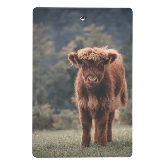 Herbstgrasfeld für Rinder Mini Klemmbrett (Rückseite)