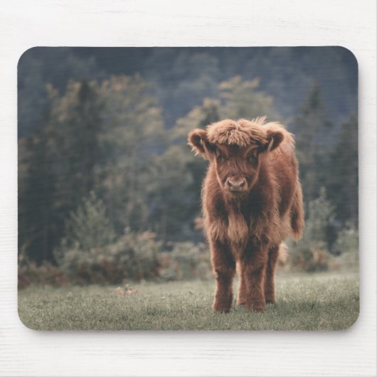 Herbstgrasfeld für Rinder Mousepad (Vorne)