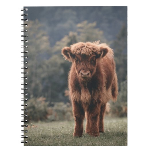 Herbstgrasfeld für Rinder Notizblock (Vorderseite)