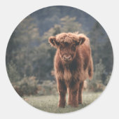 Herbstgrasfeld für Rinder Runder Aufkleber (Vorderseite)