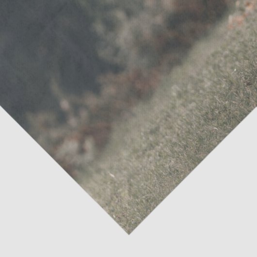 Herbstgrasfeld für Rinder Seidenpapier (Detail)