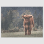 Herbstgrasfeld für Rinder Seidenpapier (Vorderseite)