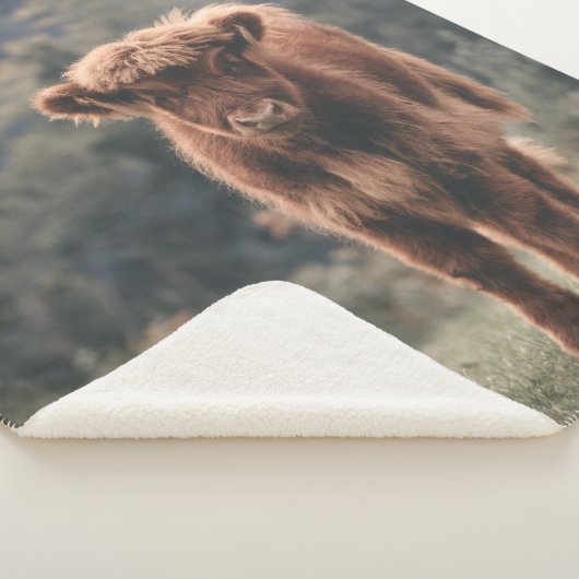 Herbstgrasfeld für Rinder Sherpadecke (3/4)