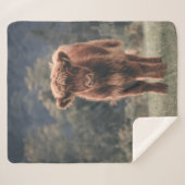 Herbstgrasfeld für Rinder Sherpadecke (Vorderseite (Horizontal))