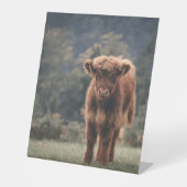 Herbstgrasfeld für Rinder Sockelschild (Vorderseite)