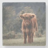 Herbstgrasfeld für Rinder Steinuntersetzer (Vorderseite)