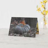 Herbstgrüße | Funny Eichhörnchen Eating Pumpkin Karte (Gelbe Blume)
