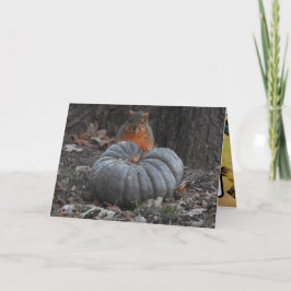 Herbstgrüße | Funny Eichhörnchen Eating Pumpkin Karte