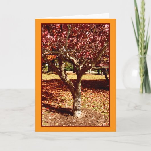 Herbstgrüße Karte (Vorderseite)