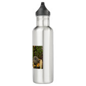 Herbstgürtel im Garten Edelstahlflasche (Rechts)