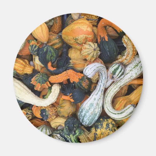 Herbstgürtel Magnet (Vorne)