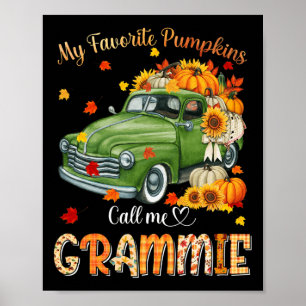 HerbstHalloween Fall Mein Lieblings-Kürbis ruft mi Poster