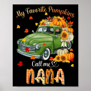 HerbstHalloween Fall Mein Lieblings-Kürbis ruft mi Poster