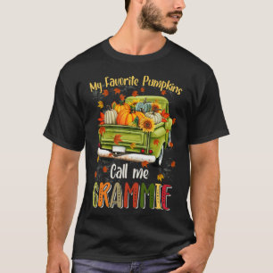 HerbstHalloween Fall Mein Lieblings-Kürbis ruft mi T-Shirt