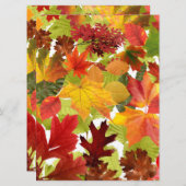 HerbstHerbstlaube (Vorne/Hinten)