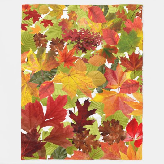 HerbstHerbstlaube Fleecedecke (Vorderseite)