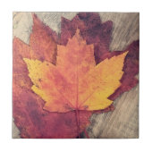 HerbstHerbstlaube Fliese (Vorderseite)