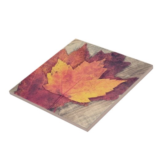 HerbstHerbstlaube Fliese (Seite)