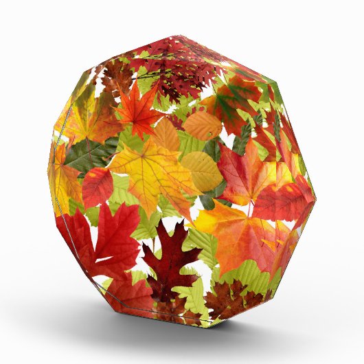 HerbstHerbstlaube Fotoblock (Rechts)