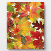 HerbstHerbstlaube Fotoplatte (Vorderseite)