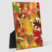 HerbstHerbstlaube Fotoplatte (Seite)