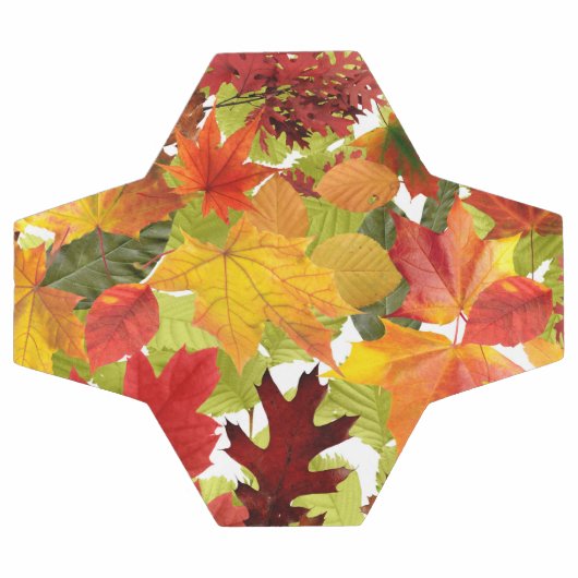 HerbstHerbstlaube Fußball (Flach)