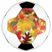 HerbstHerbstlaube Fußball (Vorderseite)