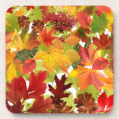 HerbstHerbstlaube Getränkeuntersetzer (Vorderseite)