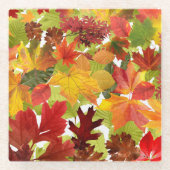 HerbstHerbstlaube Glasuntersetzer (Vorderseite)