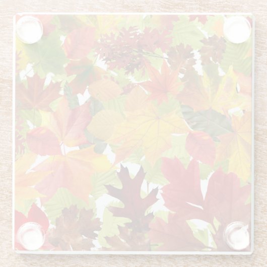 HerbstHerbstlaube Glasuntersetzer (Rückseite)