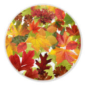 HerbstHerbstlaube Keramikknauf (Vorderseite)