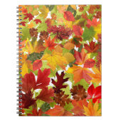 HerbstHerbstlaube Notizblock (Vorderseite)