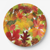 HerbstHerbstlaube Pappteller (Vorderseite)
