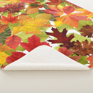HerbstHerbstlaube Sherpadecke