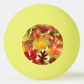 HerbstHerbstlaube Tischtennisball (Vorderseite)