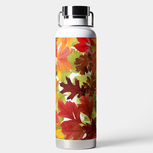 HerbstHerbstlaube Trinkflasche (Rückseite)