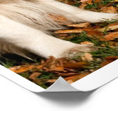 Herbsthund Poster (Ecke)